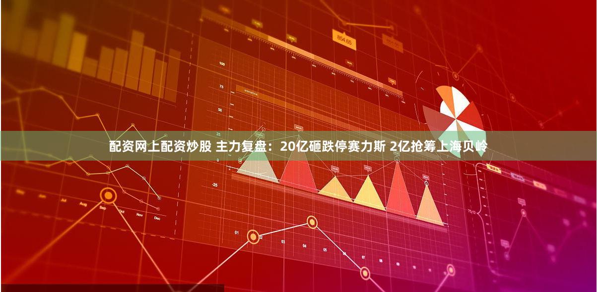 配资网上配资炒股 主力复盘：20亿砸跌停赛力斯 2亿抢筹上海贝岭