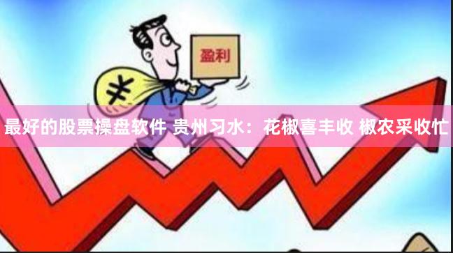 最好的股票操盘软件 贵州习水：花椒喜丰收 椒农采收忙