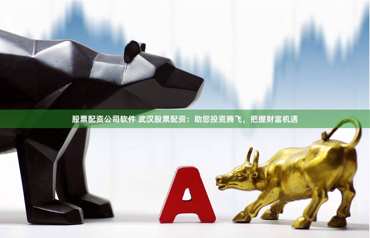 股票配资公司软件 武汉股票配资：助您投资腾飞，把握财富机遇