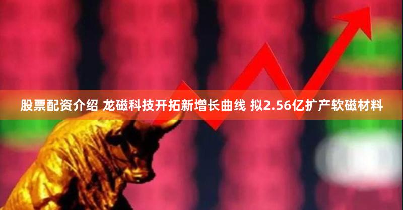 股票配资介绍 龙磁科技开拓新增长曲线 拟2.56亿扩产软磁材料