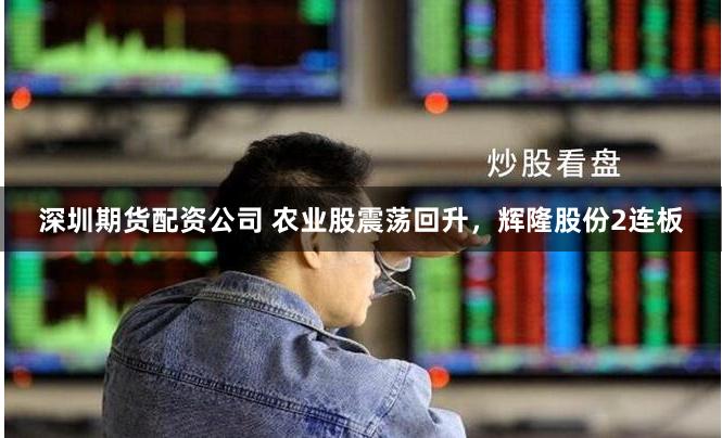 深圳期货配资公司 农业股震荡回升，辉隆股份2连板